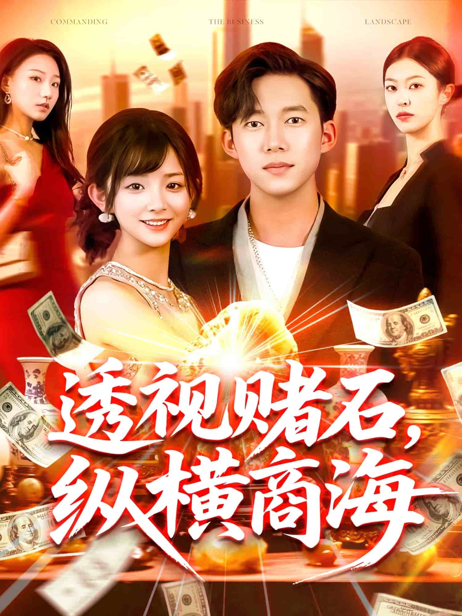 透视赌石，纵横商海