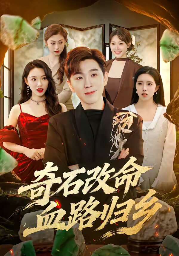 奇石改命血路归