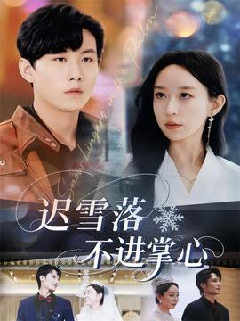 迟雪落不进掌心