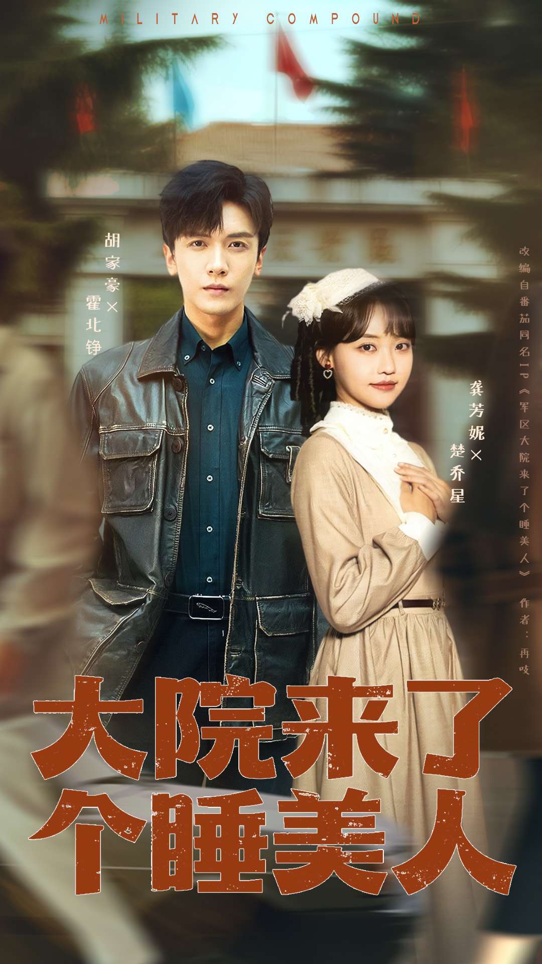 大院来了个睡美人100集版