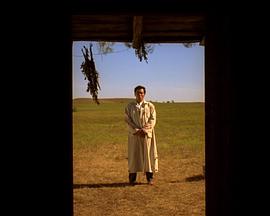 误杀之至尊妈妈归来(至尊妈妈归来)