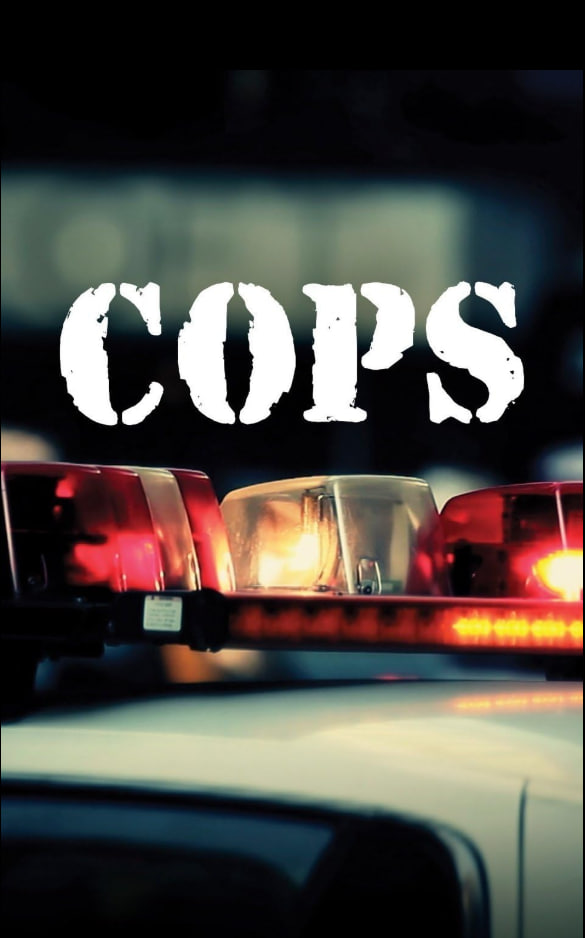 执法先锋第三十七季