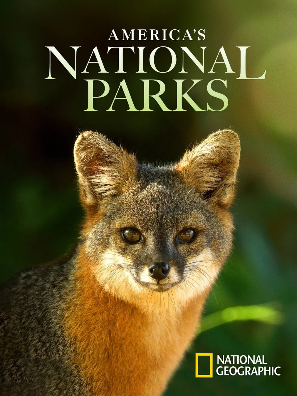 美国国家公园第二季